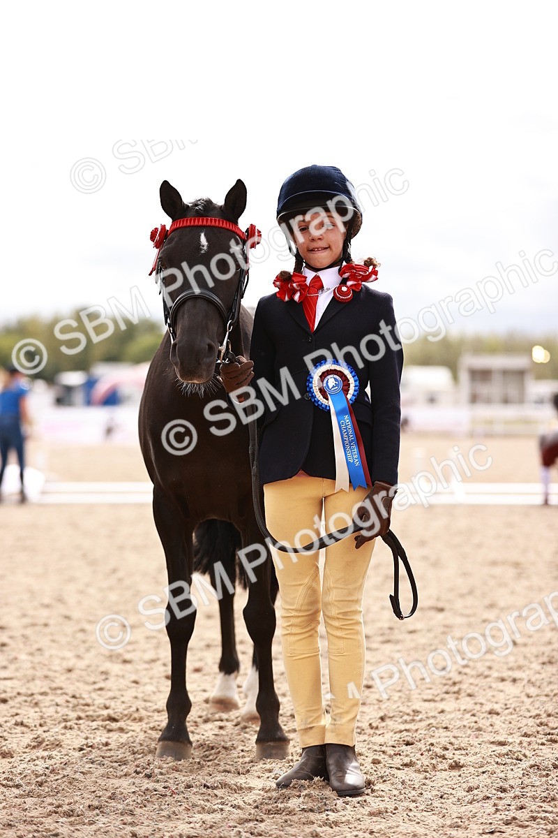 SBM_18336 - Class 417 - Handsome Gelding (IH or Ridden - JNR)