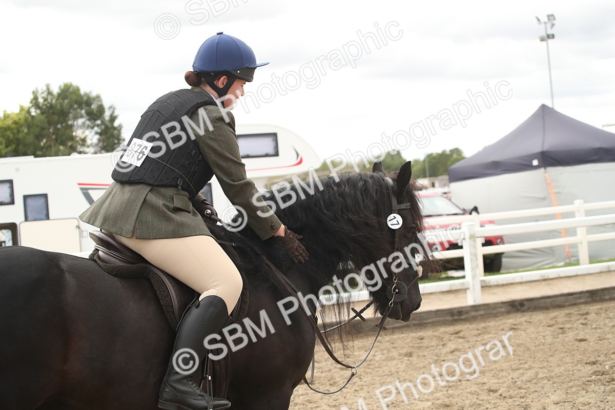 SBM_16643 - Class 507a - Working Veteran - 60cm (15-19)