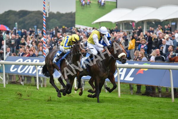 yr09102021r5-25 - Race 5 3.50pm Coral ebfstallions.com Novice Stakes