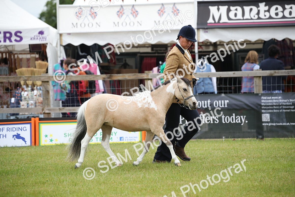 SBM_03936 - Class 23-25 - British Miniature Horse of the Year