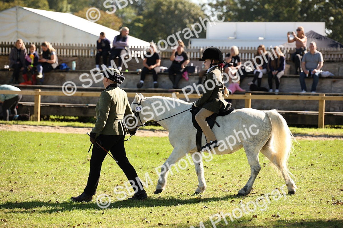 SBM_38972 - S11 - Best Ridden Horse & Pony