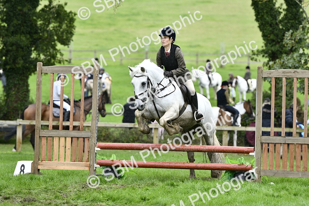 SBM_42281 - S32 - Mountain & Moorland Working Hunter Pony