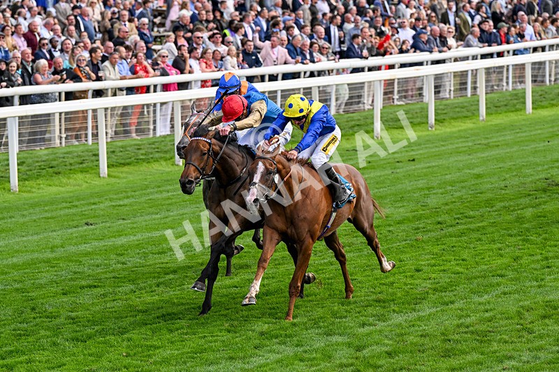 210826-Race 5-Plage De Havre-0306 - Race 5 16.10pm Assured Data Protection Handicap