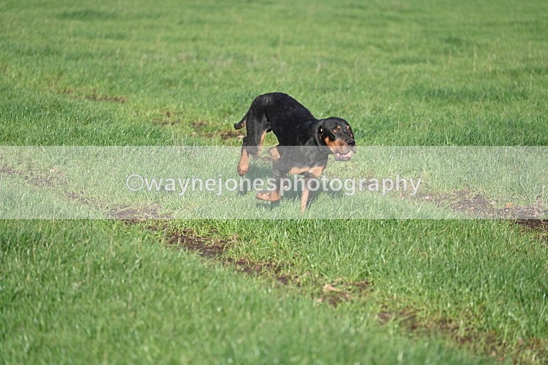 WJ7_4745 - Camera B