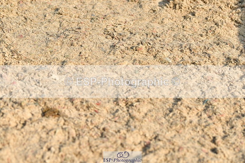 230721A-090034-04560 - Cls 26, 5 Yr Olds 1.10m