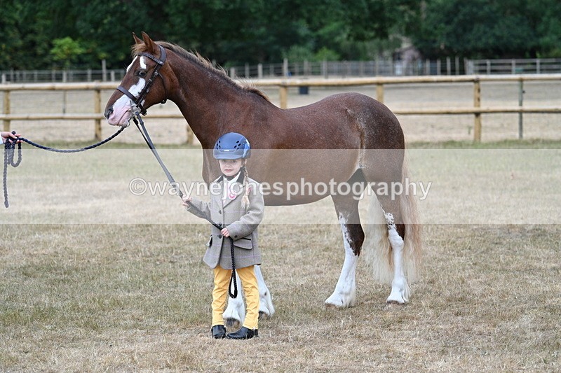 WJ7_9415 - Prettiest Mare Champs