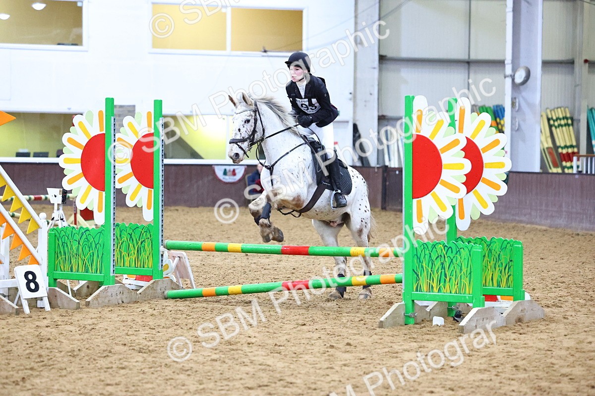 SBM_001313 - Class 3 - Christmas Tree Stakes - 60cm