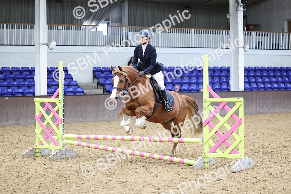 SBM_007873 - Class 3 - 60cm showjumping