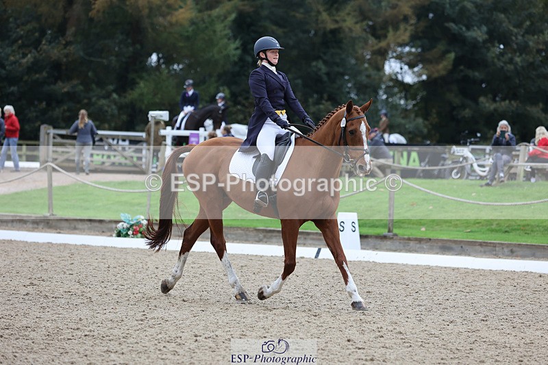 241024-141555-03808 - 160-Gaby.Bull-MILESTONE.GOLD