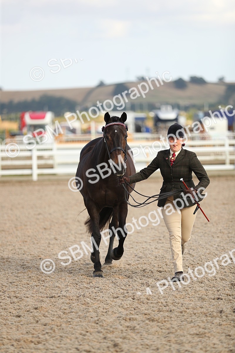 SBM_08647 - Class 28 - IH Veteran Horse