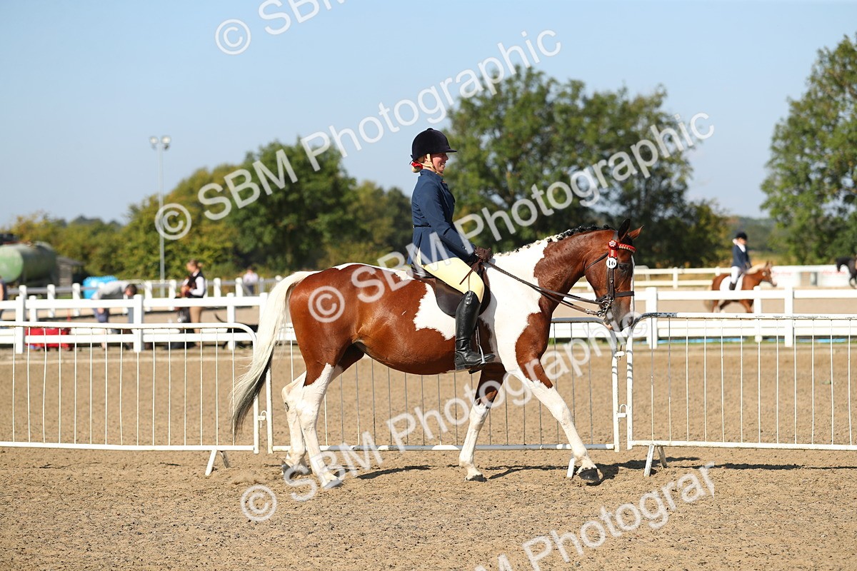 SBM_02179 - Class 43 Ridden Competition Horse/Pony