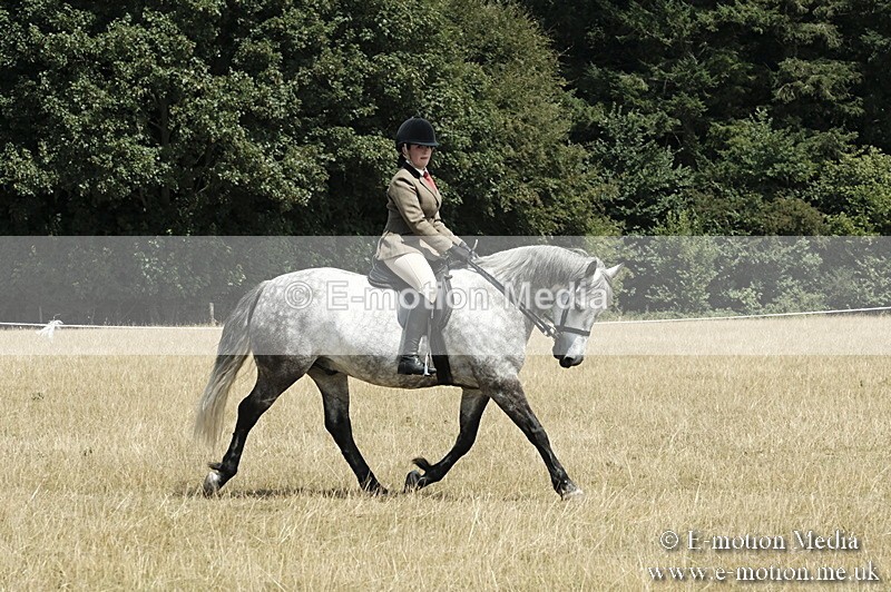 _PJP5971 - BVRC Show 2018 Ring 1