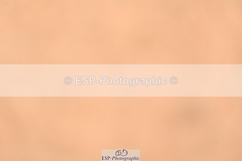 260426-140618-19751 - Cls 36, 1 Star 7 Year Old Final