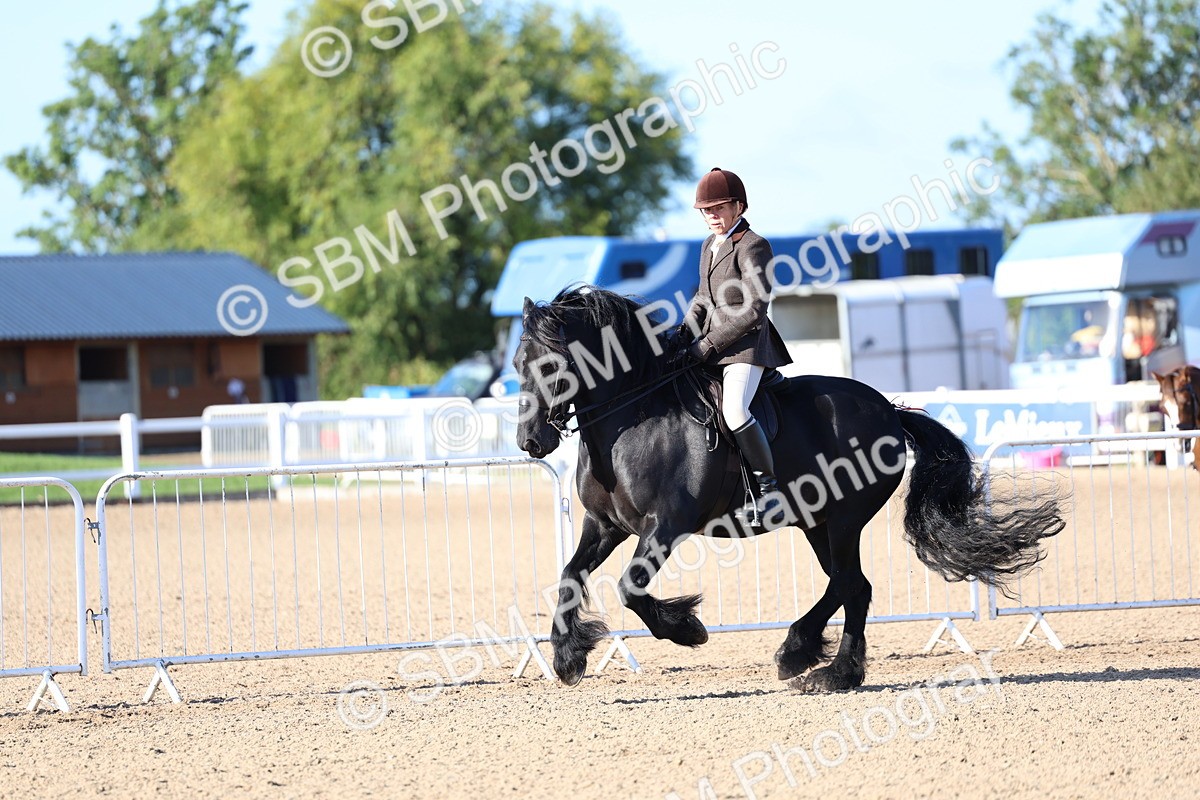 SBM_08796 - Class 302 - Ridden M&M - Large Breeds