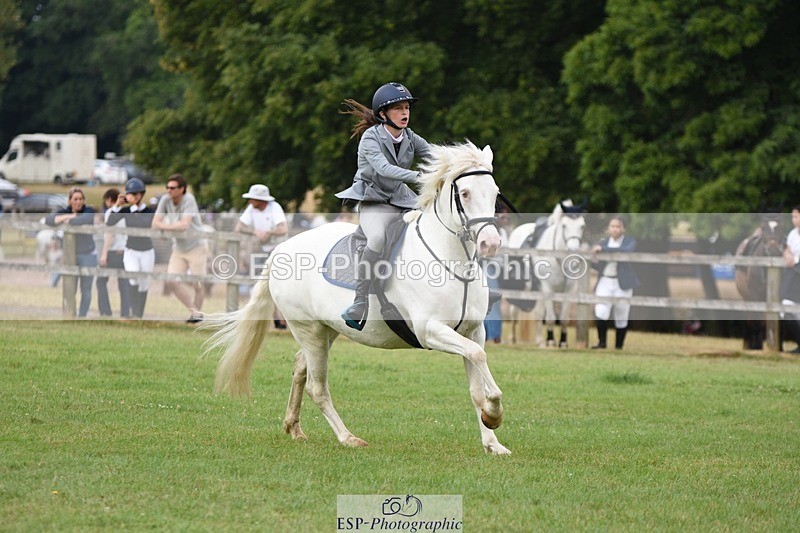 230617-094846-01676 - Cls 15 British Novice & 80cm Open