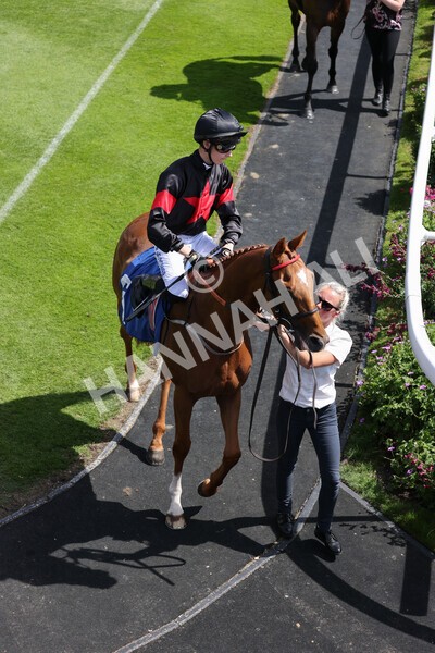 yr09072022r3-3 - Race 3 2.55pm John Smith's Stayers Stakes