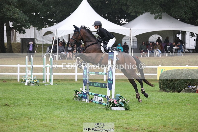 250830A-135507-06832 - Cls 16 Snr Newcomers and 1.10m Open