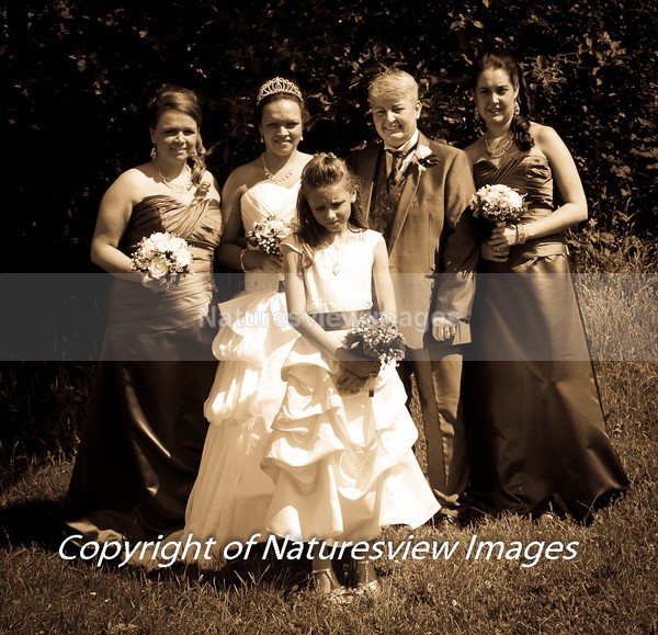 IMG_6186 - Weddings
