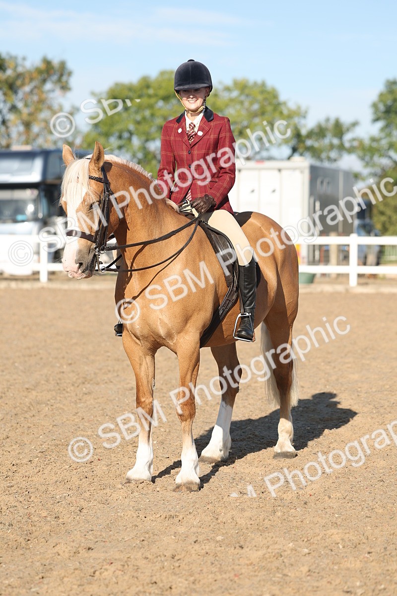 SBM_11061 - Class 302 - Ridden M&M Large Breeds