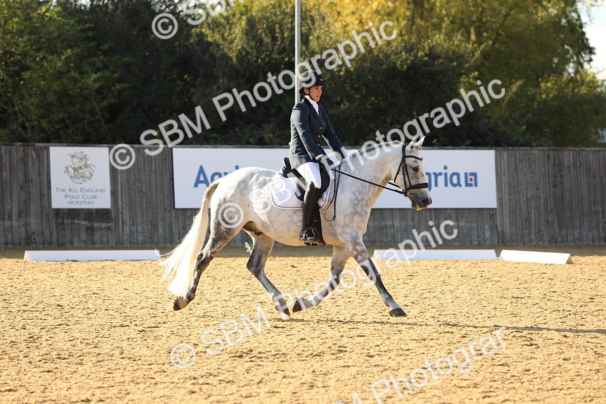 SBM_28702 - D20 - Grand Tour Championship - Elementary 44