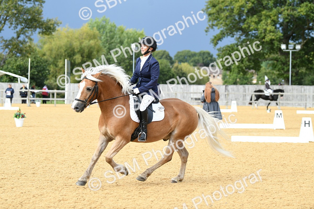 SBM_10929 - D28 Elementary Taster Elementary 42