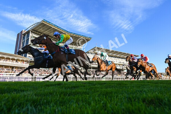 yr08102022r7-24 - Race 7 5.00pm The Coral Gets You Closer To The Action Stakes