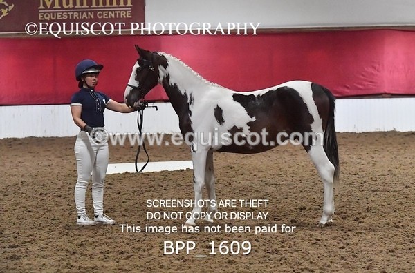 BPP_1609 - MORNING 9AM - 12PM