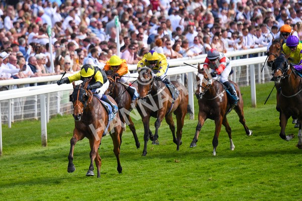 270523-Race 5-Starnberg-0763 - Race 5 3.50pm William Hill Extra Place Races Daily Handicap