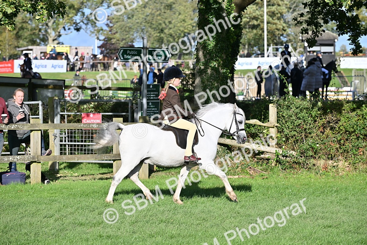 SBM_52998 - S23 - First Ridden Mountain & Moorland Pony