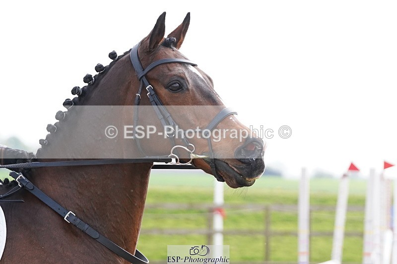 250419-153848-12967 - 671-Matilda.Edmund-NEW.LEYF