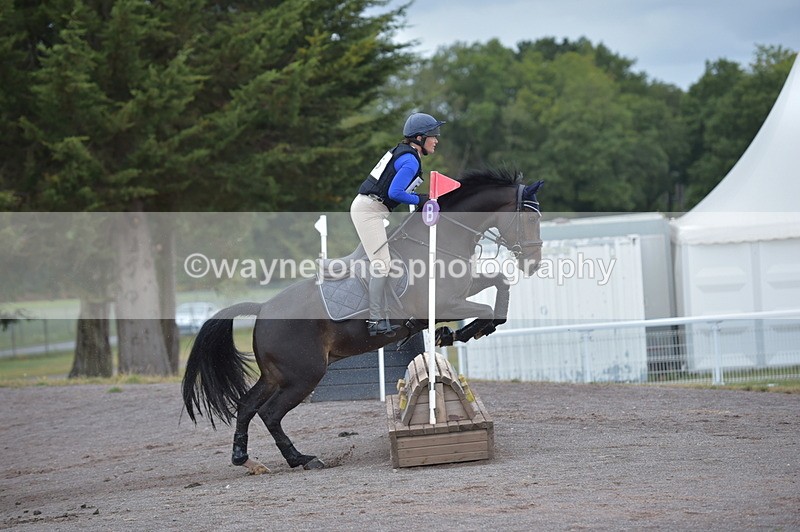 NGP_2203 - XC Time 11:20 to 11:36