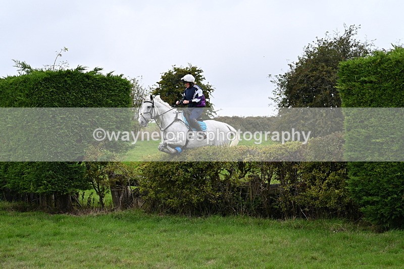 WJ7_8996 - Time 13:31 to 14:00