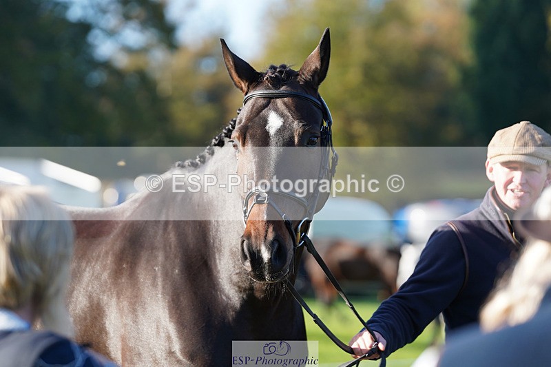 241026-100138-11550 - 005-Matthew.Heath-DIEGOS.ROSE