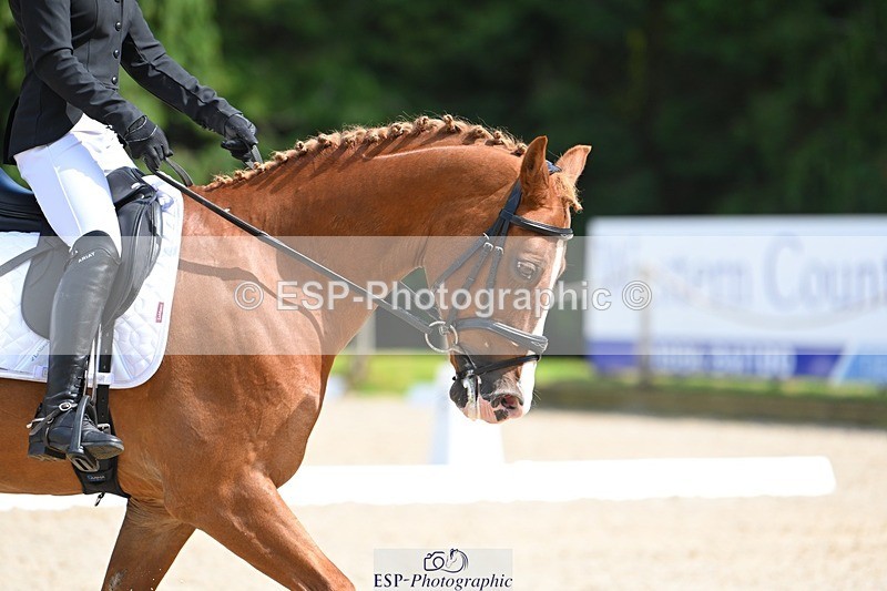 230811-151115-02252 - Cls 2 Prelim Silver 14.45 to End