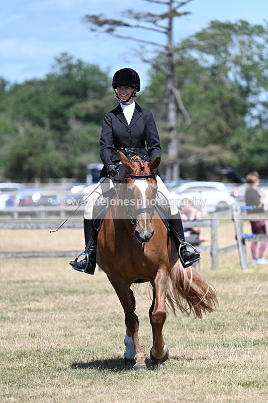 WJ7_3026 - Class 7 Riding Club Show Horse