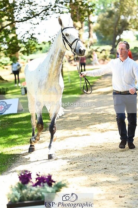 230524-145942-00010 - 302-EN_TARO_DES_VERNIER-Oliver_Townend-WEDTrotUp+DR