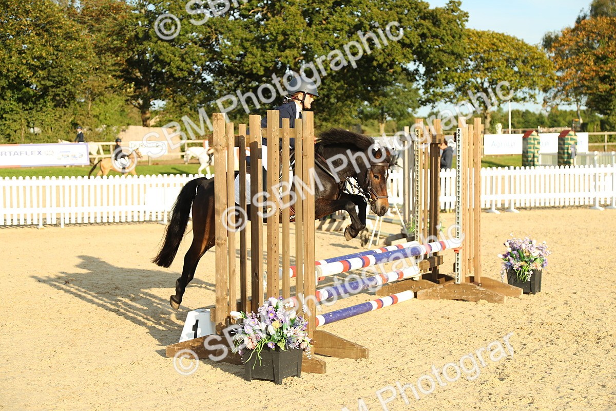 SBM_53752 - J8 - Junior Pony 65cm Championship