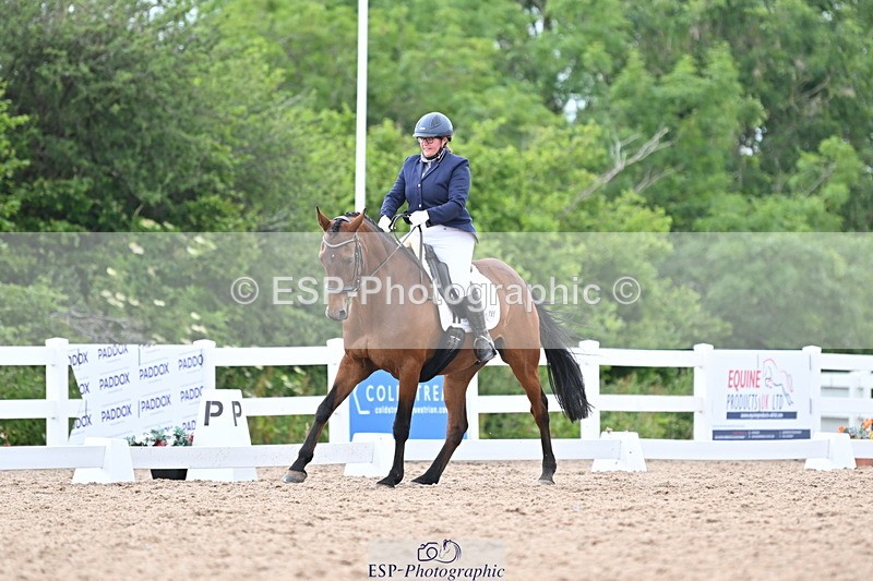 ESP_1252 - Cls 51 BD Elementary 53