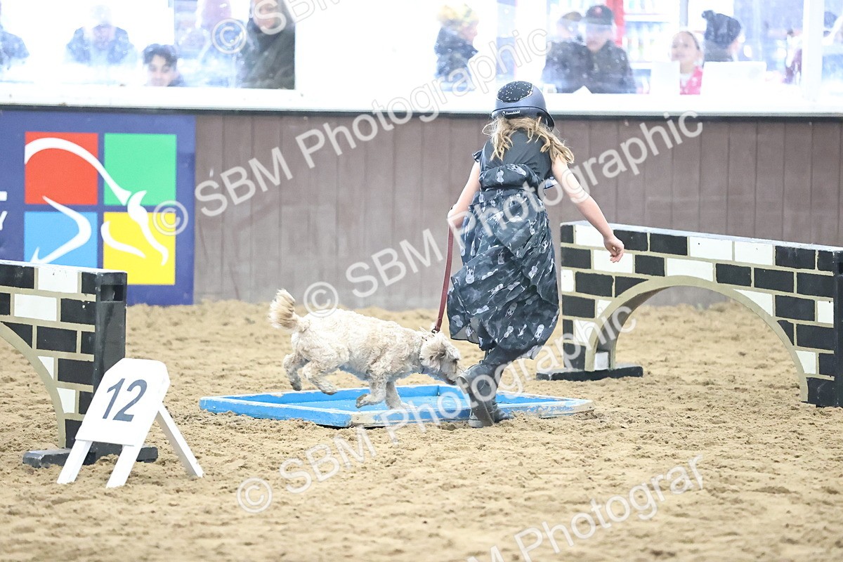 SBM_001228 - Class 3 - Horse & Hound 60cm