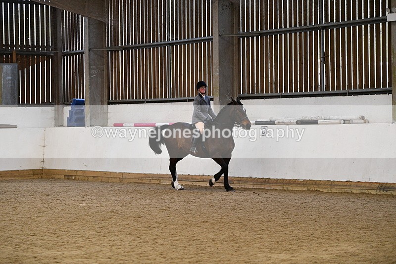 WJ5_7691 - Class 13 Ridden Part Breed