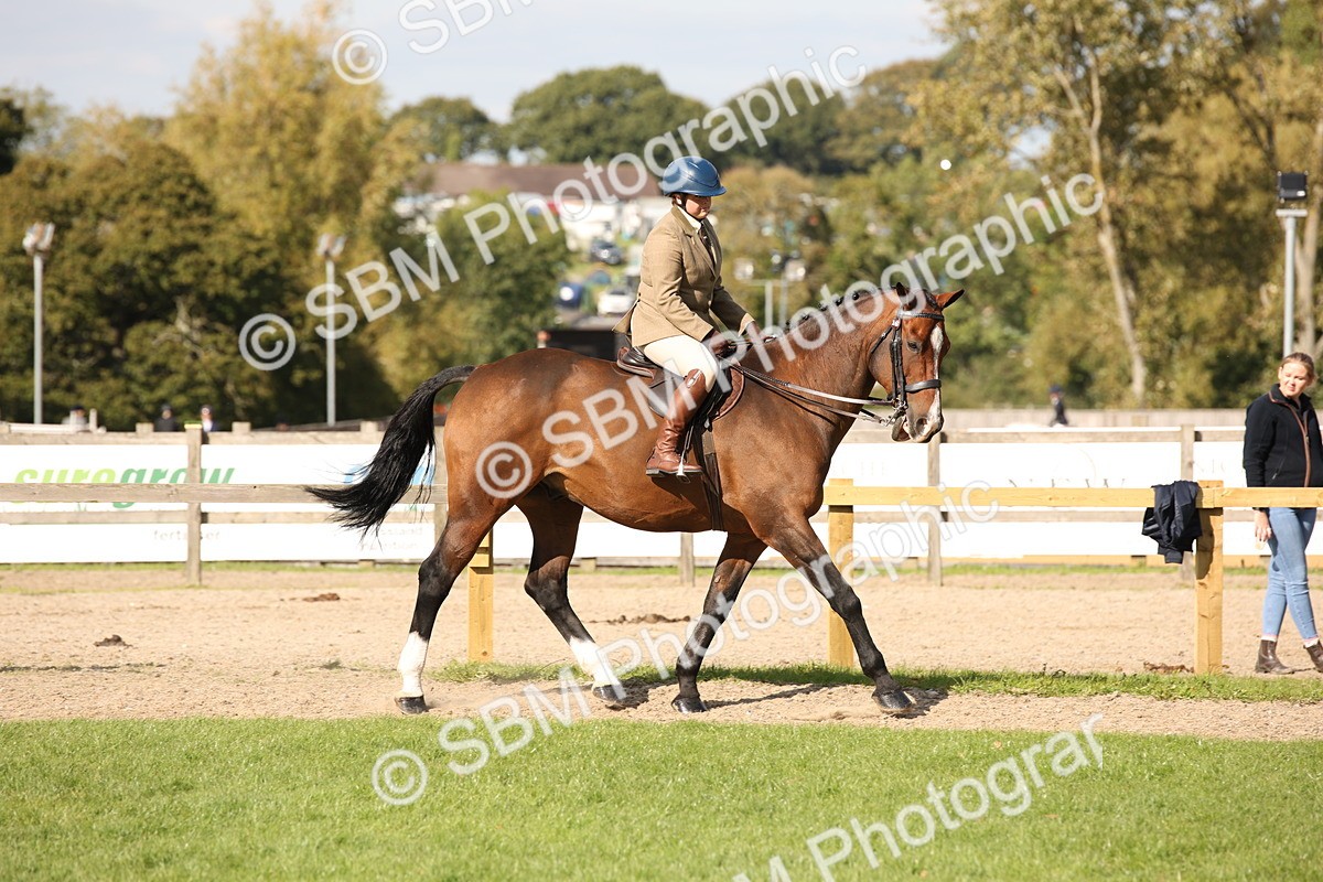 SBM_50063 - S26 - Young Veteran - Ridden