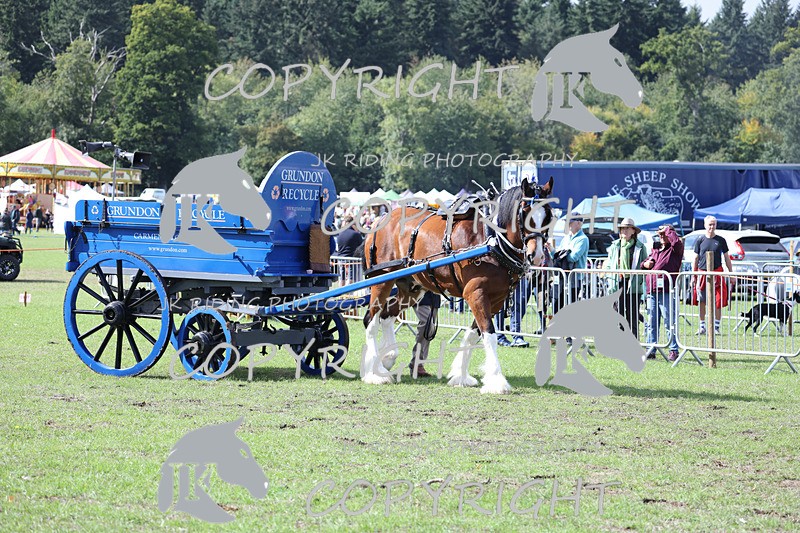 APP_3581 - Class 7 Turnout for a single or pair