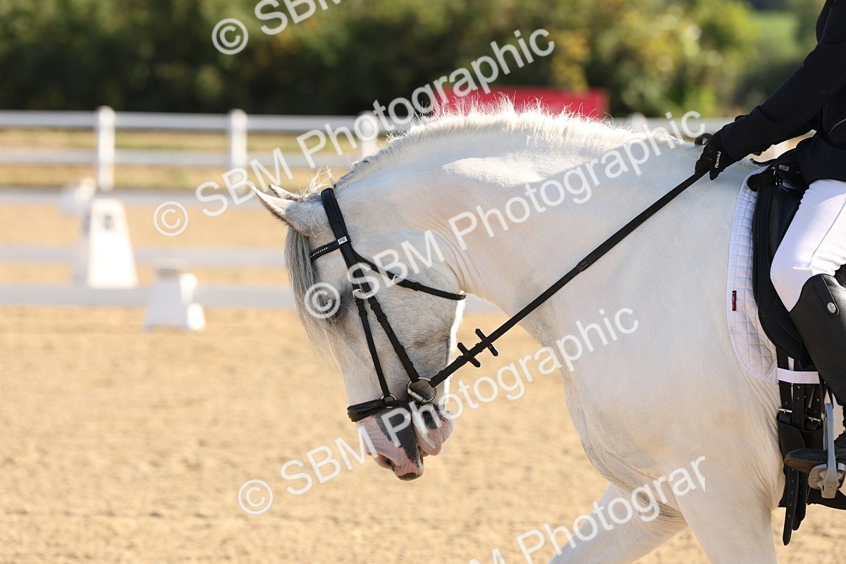 SBM_000054 - Intro 2 Warm Up