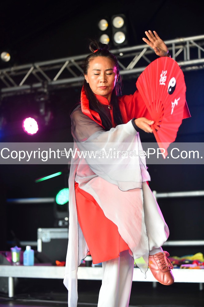 SH4_1666 - Tai Chi with Lisa Kay.