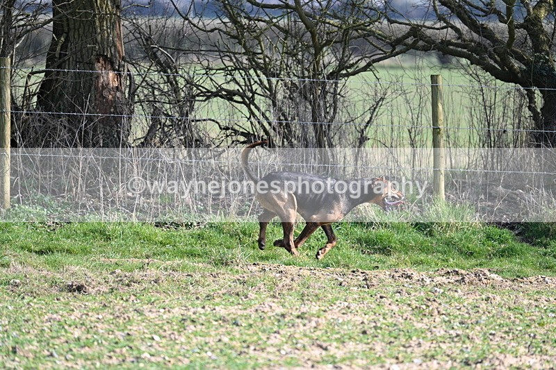 WJ7_5697 - Camera A