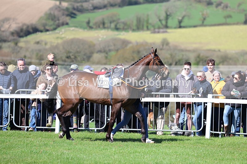 3E7A5263 - Race 4:  Maiden
