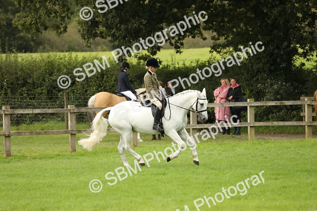 SBM_71680 - S41 - Ridden Equitation (Best Rider)