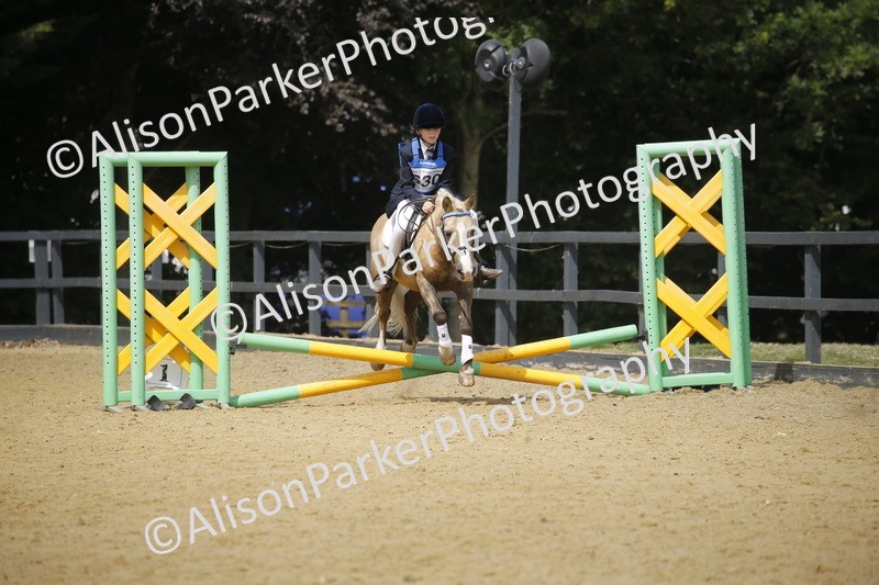 20250622-3927 - 50cm