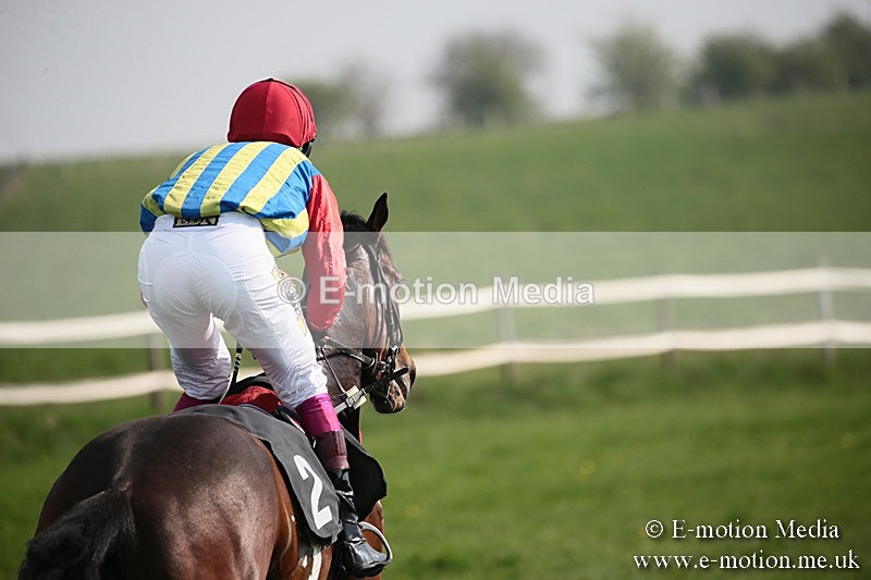 PtP 210418 438 - South & West Wilts Point-to-Point Larkhill 21/04/18