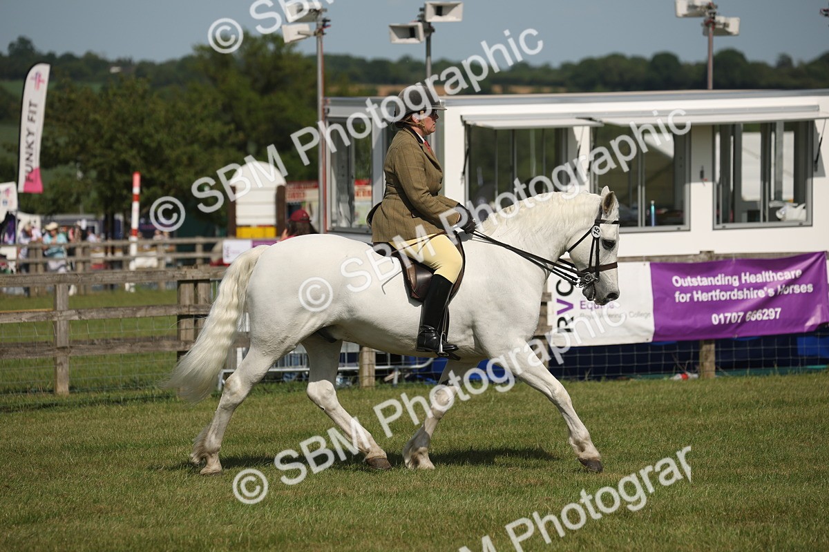 SBM_09564 - Class 33-38 - SSADL RIHS Qualifiers